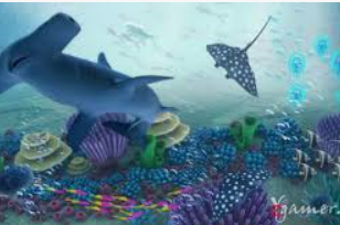 开元国际67ky免费版